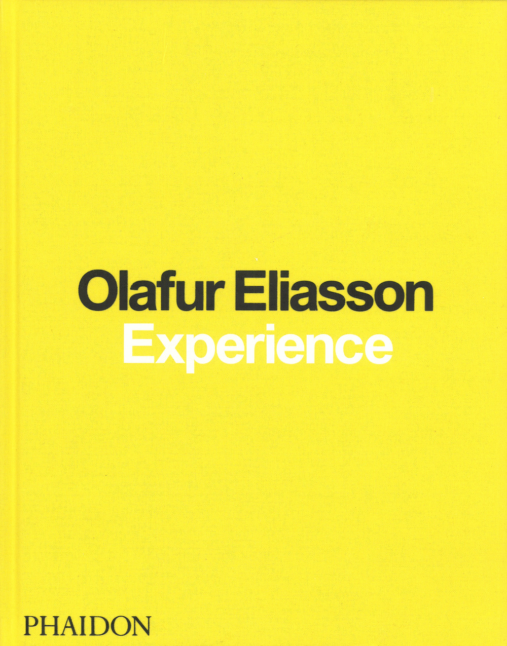 Olafur Eliasson. Experience
