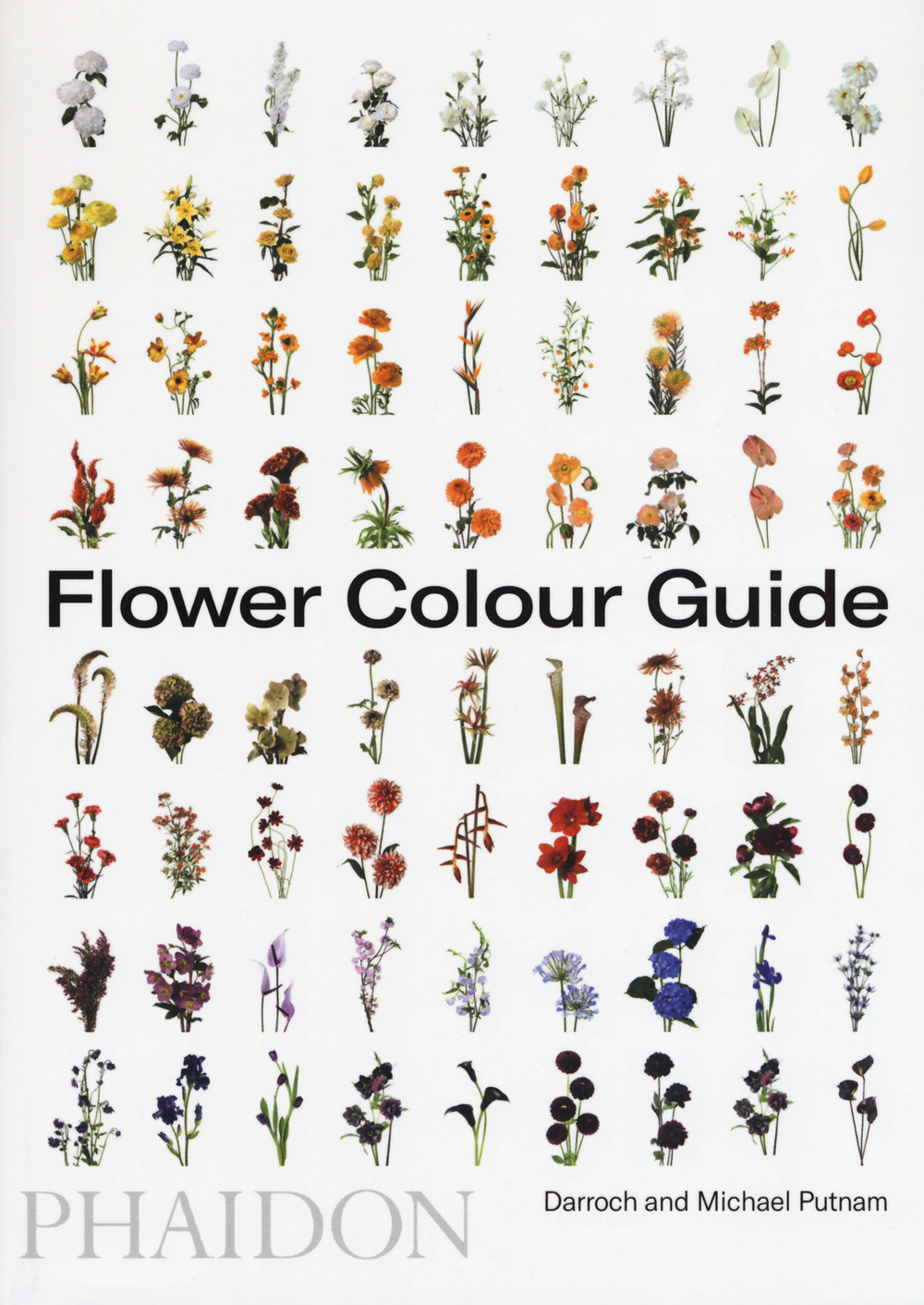 Flower color guide