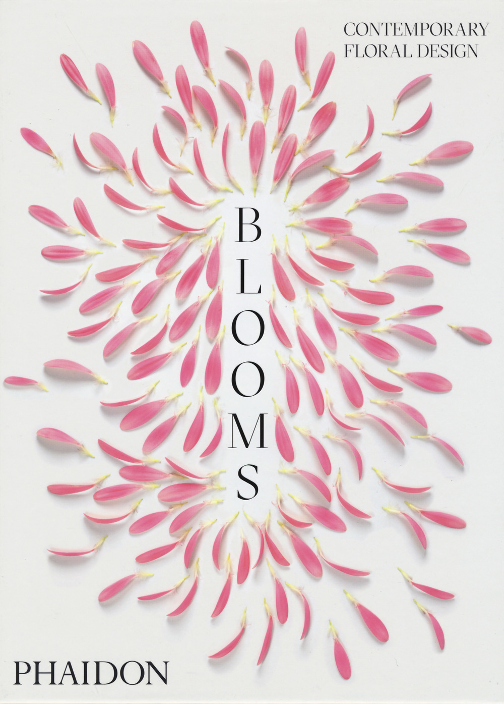 Blooms. Contemporary floral design