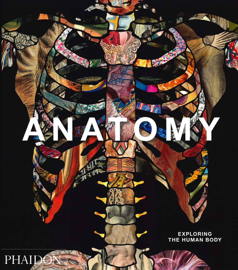 Anatomy. Exploring the human body