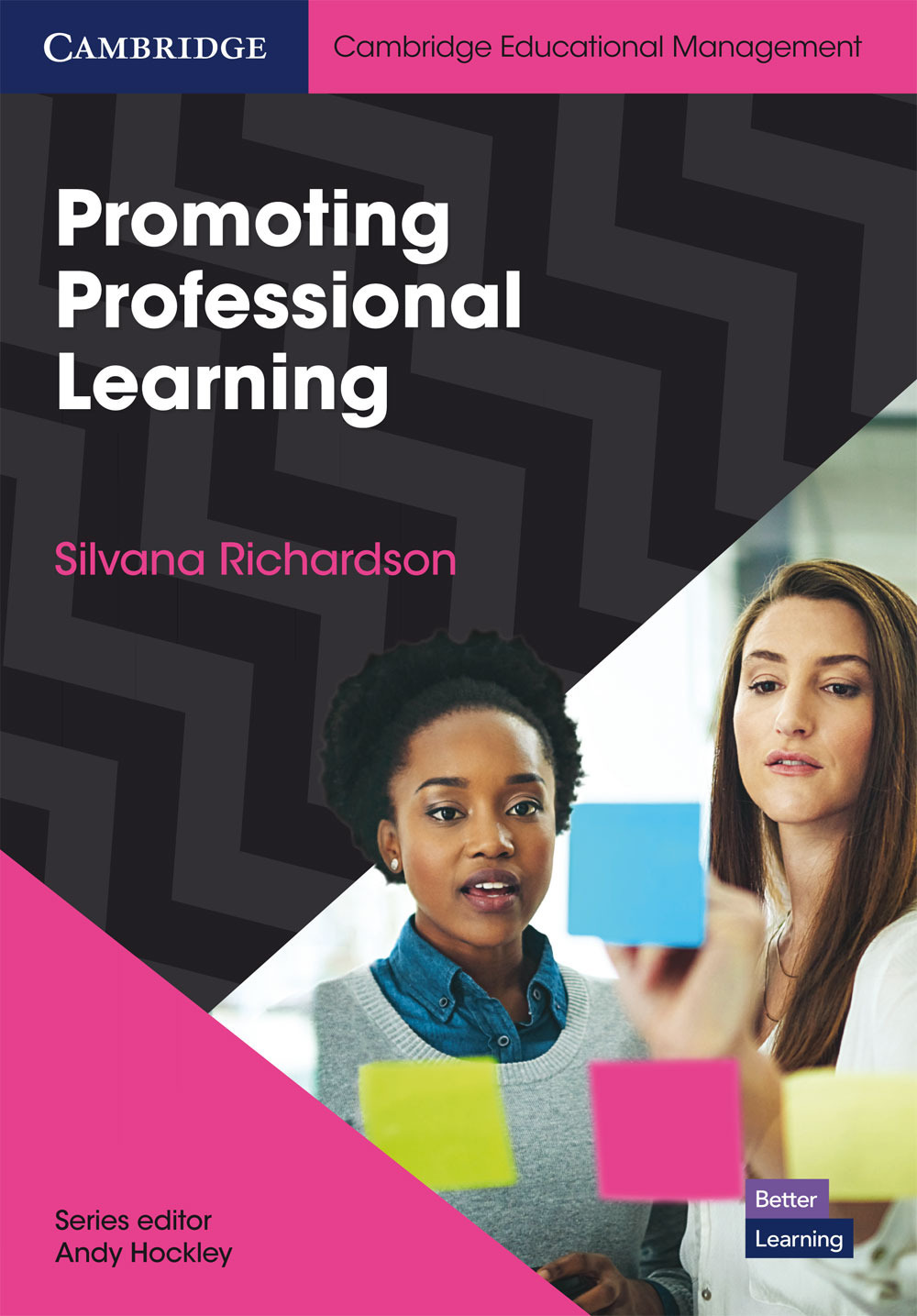 Promoting professional learning