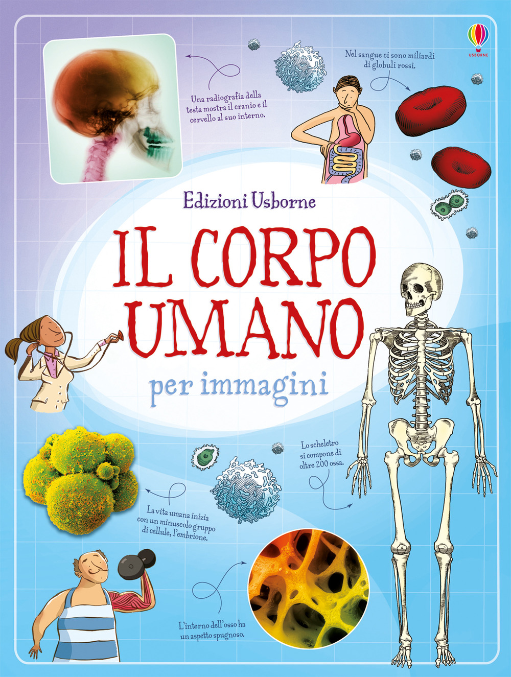 Il corpo umano per immagini