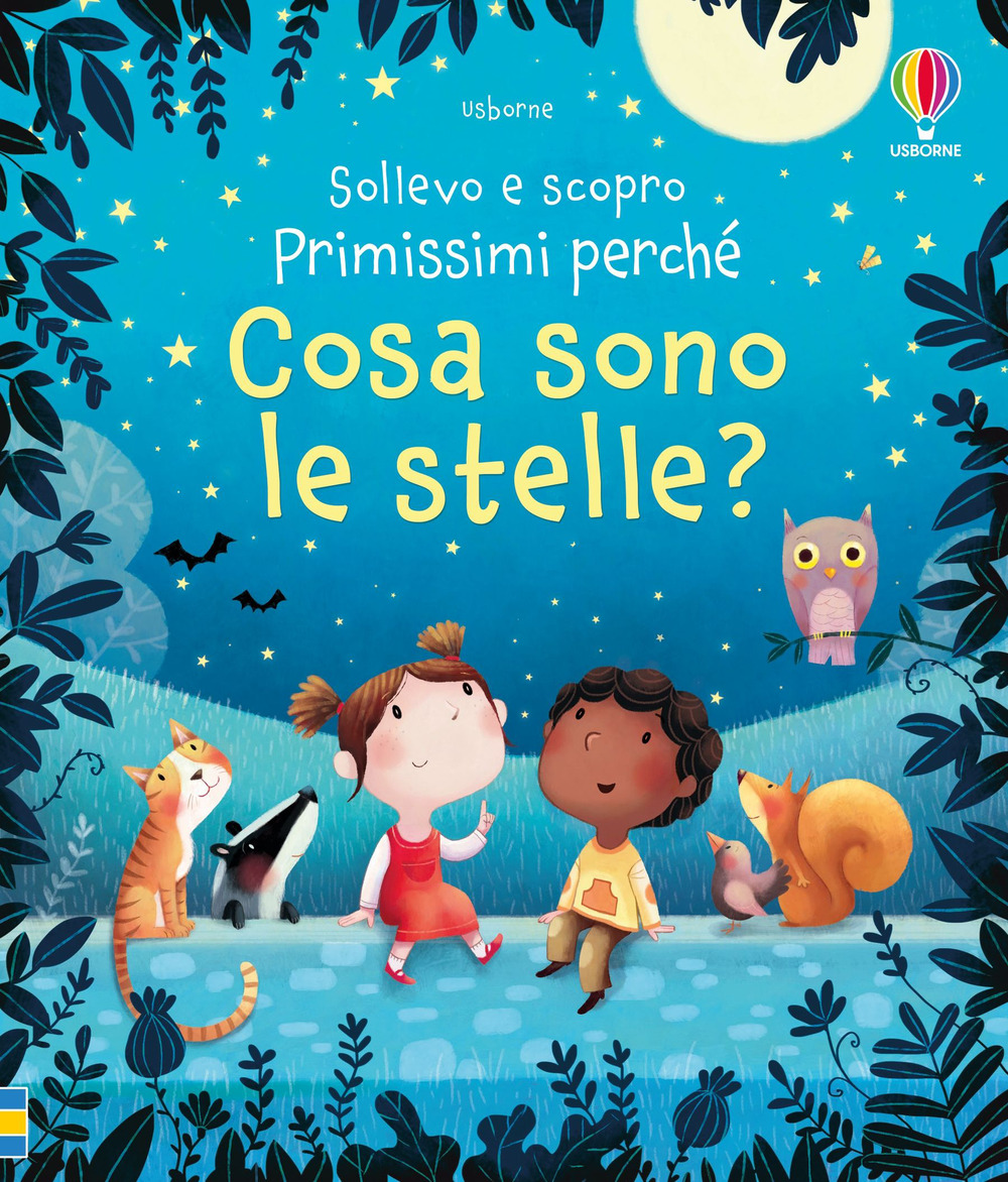 Cosa sono le stelle?