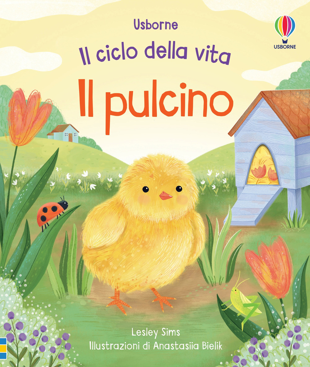 Il pulcino