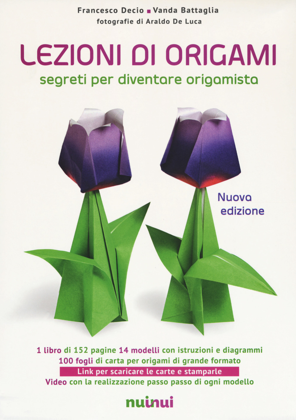 Lezioni di origami. Segreti per diventare origamista