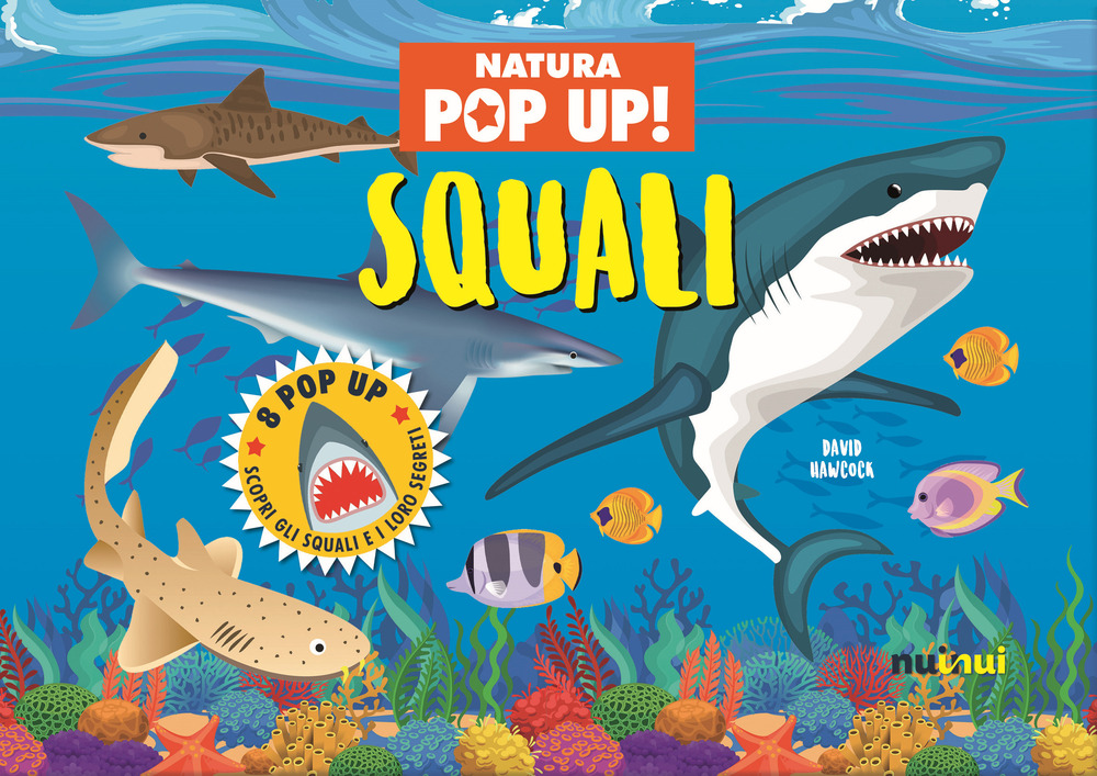 Squali. Natura pop up!