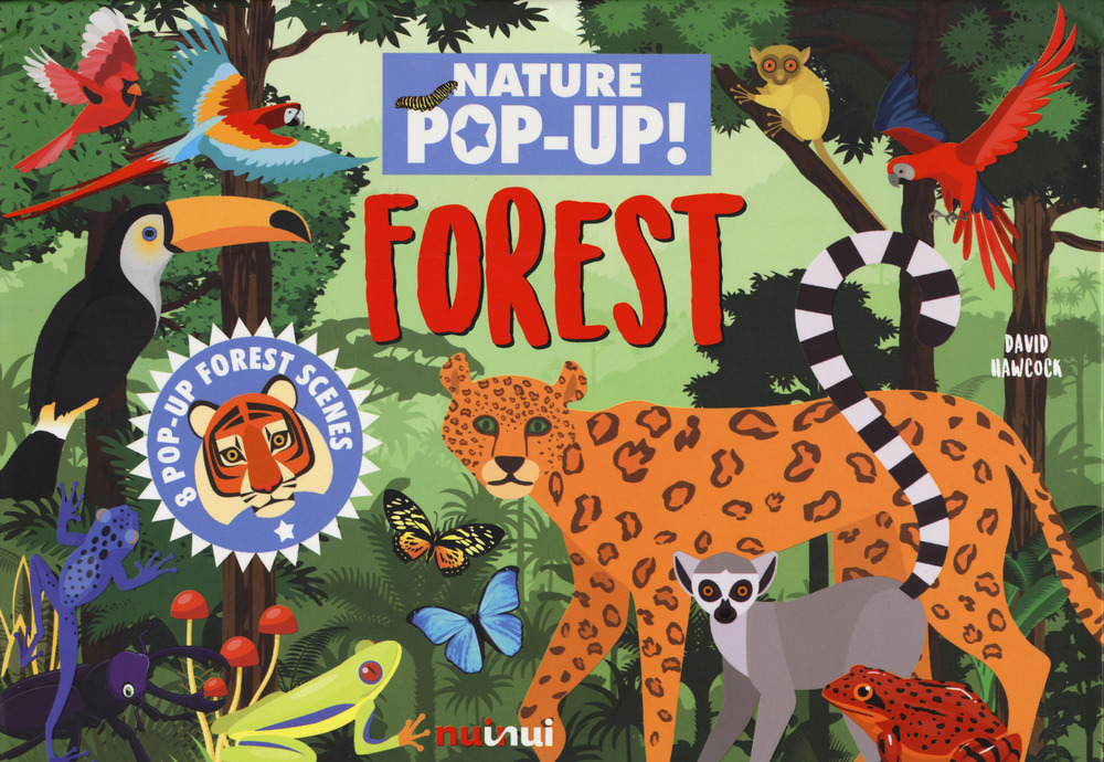 Forest. Nature pop-up!