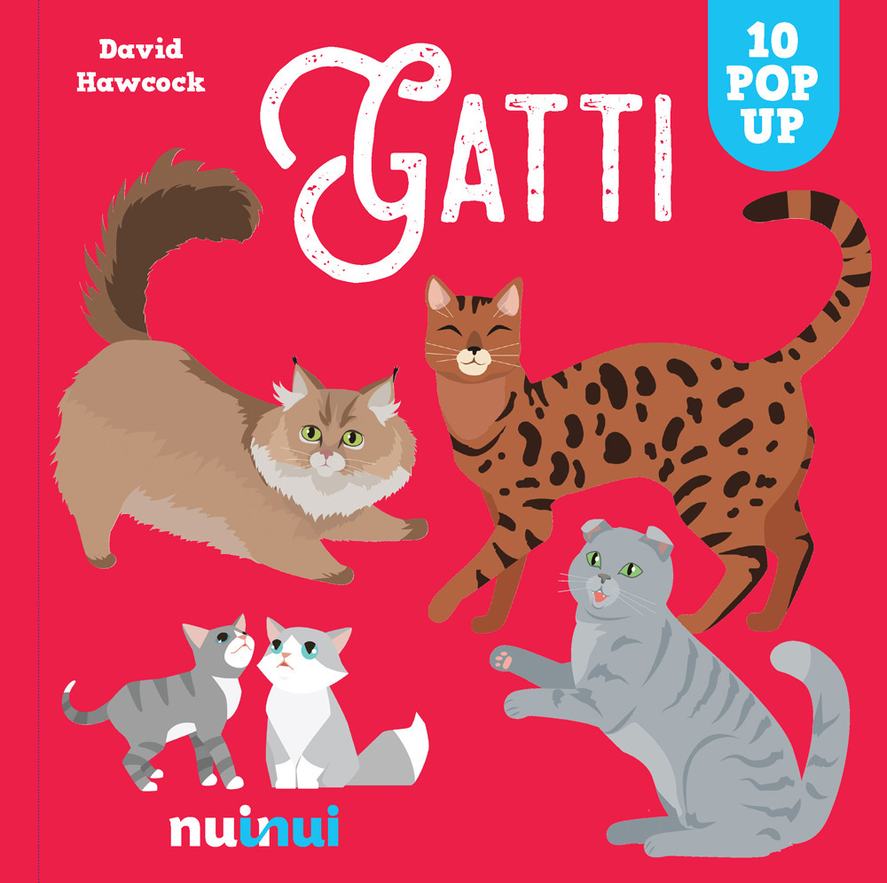 Gatti. Sorprendenti pop up