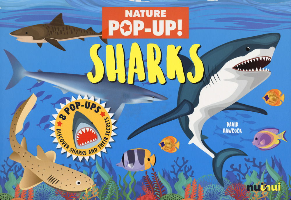 Sharks. Nature pop up!