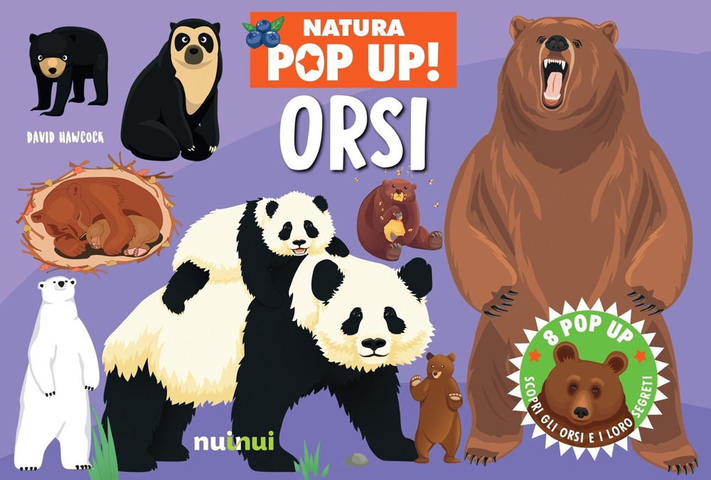 Orsi. Natura pop-up!