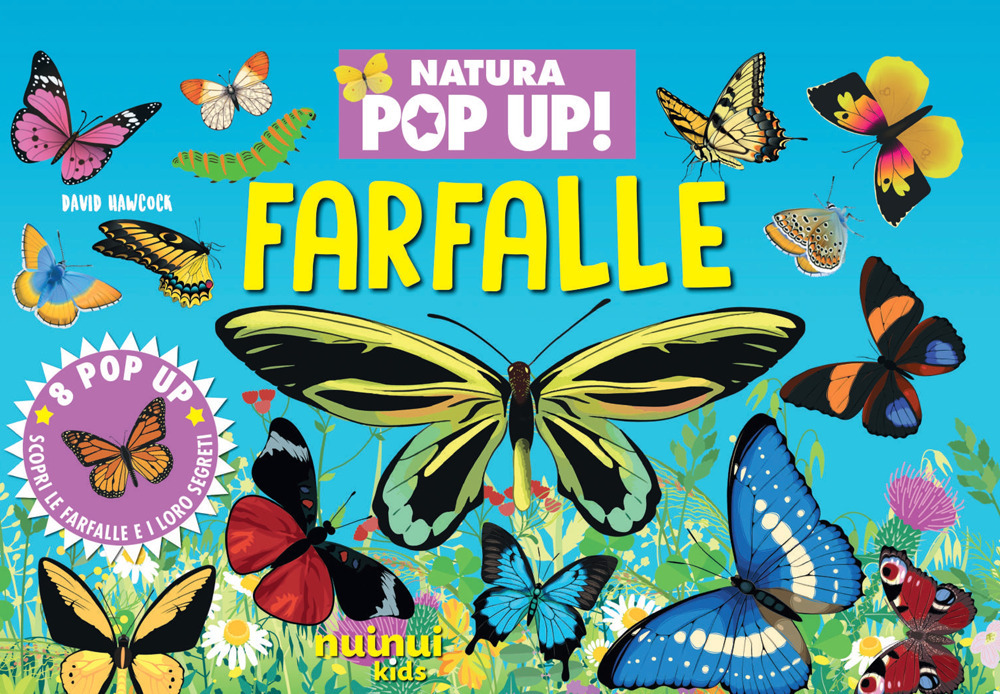 Farfalle. Natura pop up