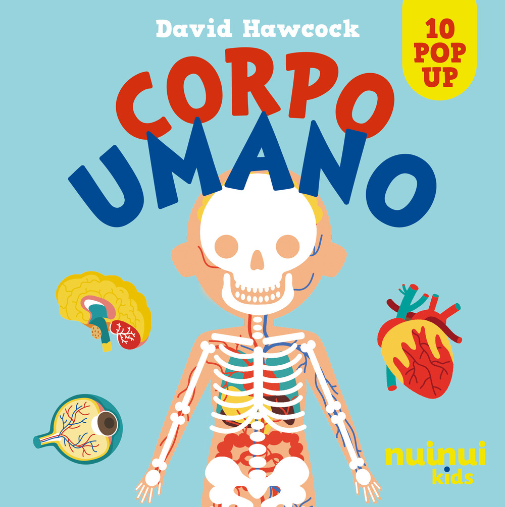 Corpo umano. Sorprendenti pop up