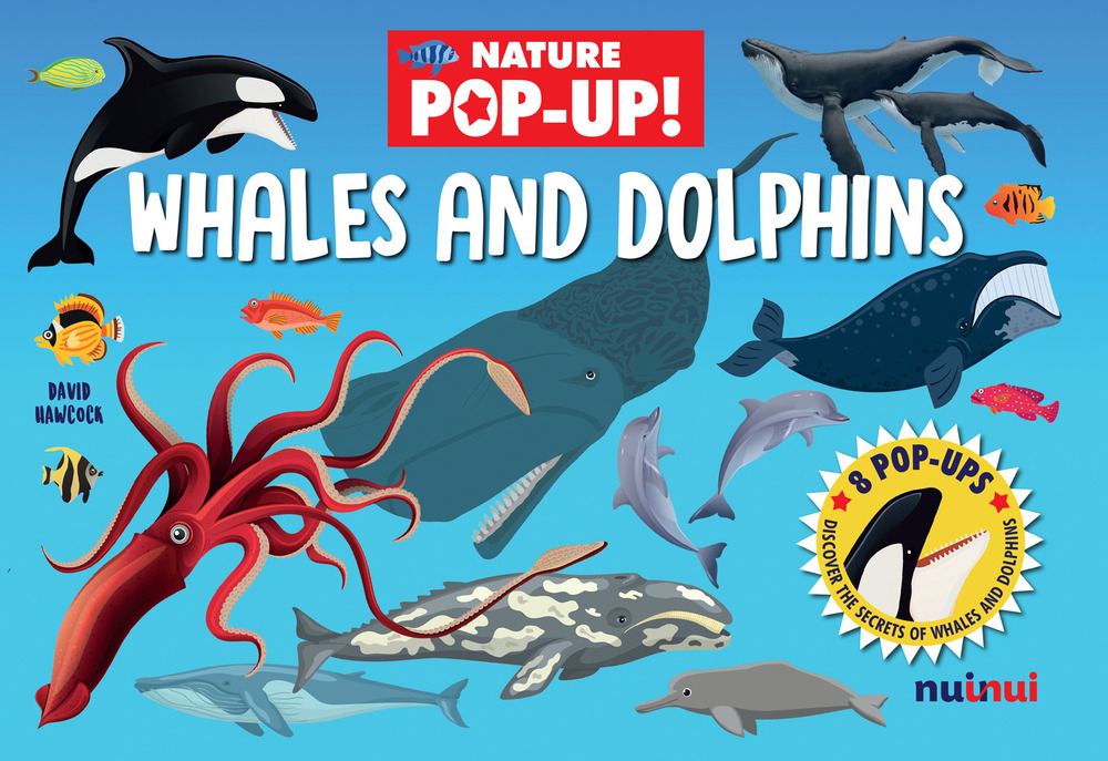 Whales and dolphins. Nature pop-up