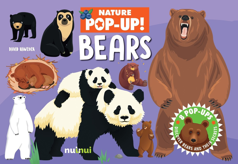 Bears. Nature pop-up!