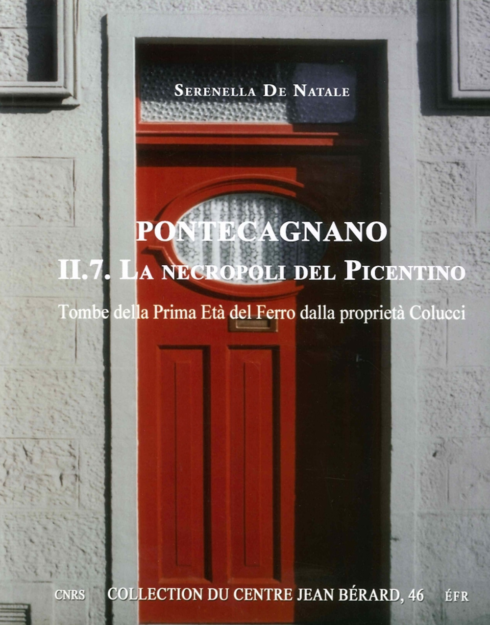 Pontecagnano. Vol. 2/7: La necropoli del picentino. Tombe della prima età del ferro dalla proprietà Colucci
