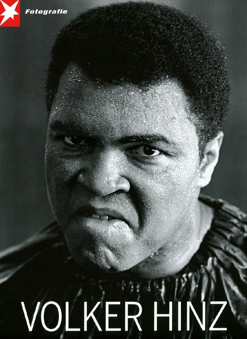 Stern Portfolio. Ediz. inglese e tedesca. Vol. 67: Volker Hinz