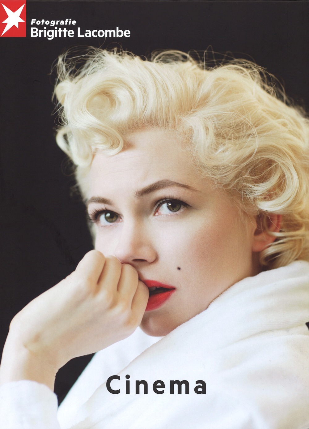Stern Portfolio. Ediz. inglese e tedesca. Vol. 73: Brigitte Lacombe. Cinema