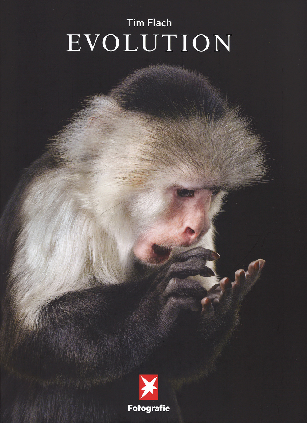 Stern Portfolio. Ediz. inglese e tedesca. Vol. 74: Tim Flach. Evolution