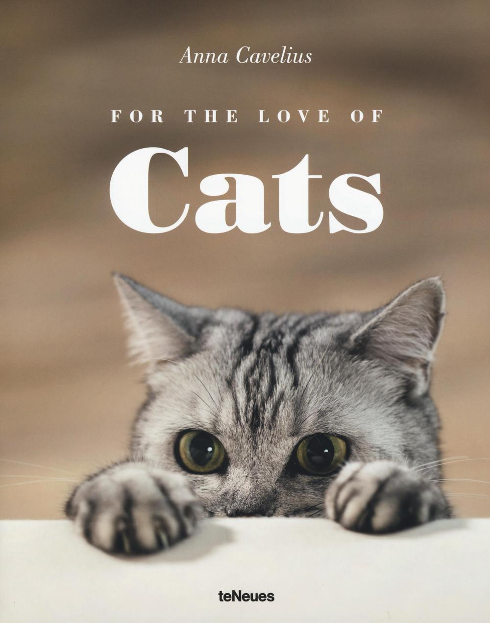 For the love of cats