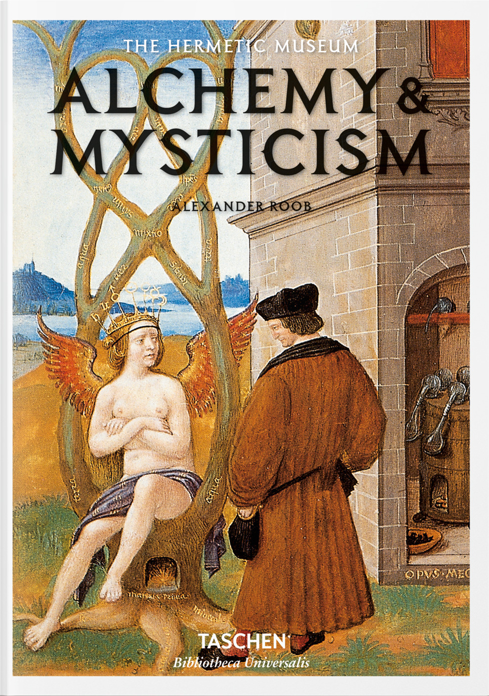Alchemy & mysticism. Ediz. inglese