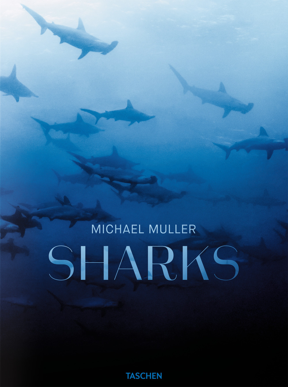 Michael Muller. Sharks. Ediz. inglese