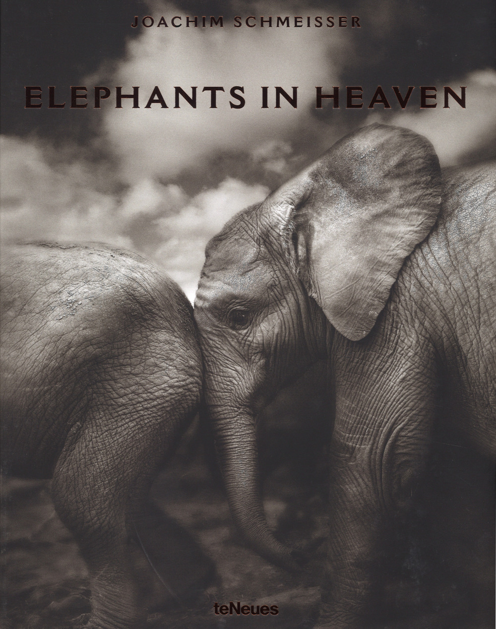 Elephants in heaven. Ediz. inglese, francese e tedesca