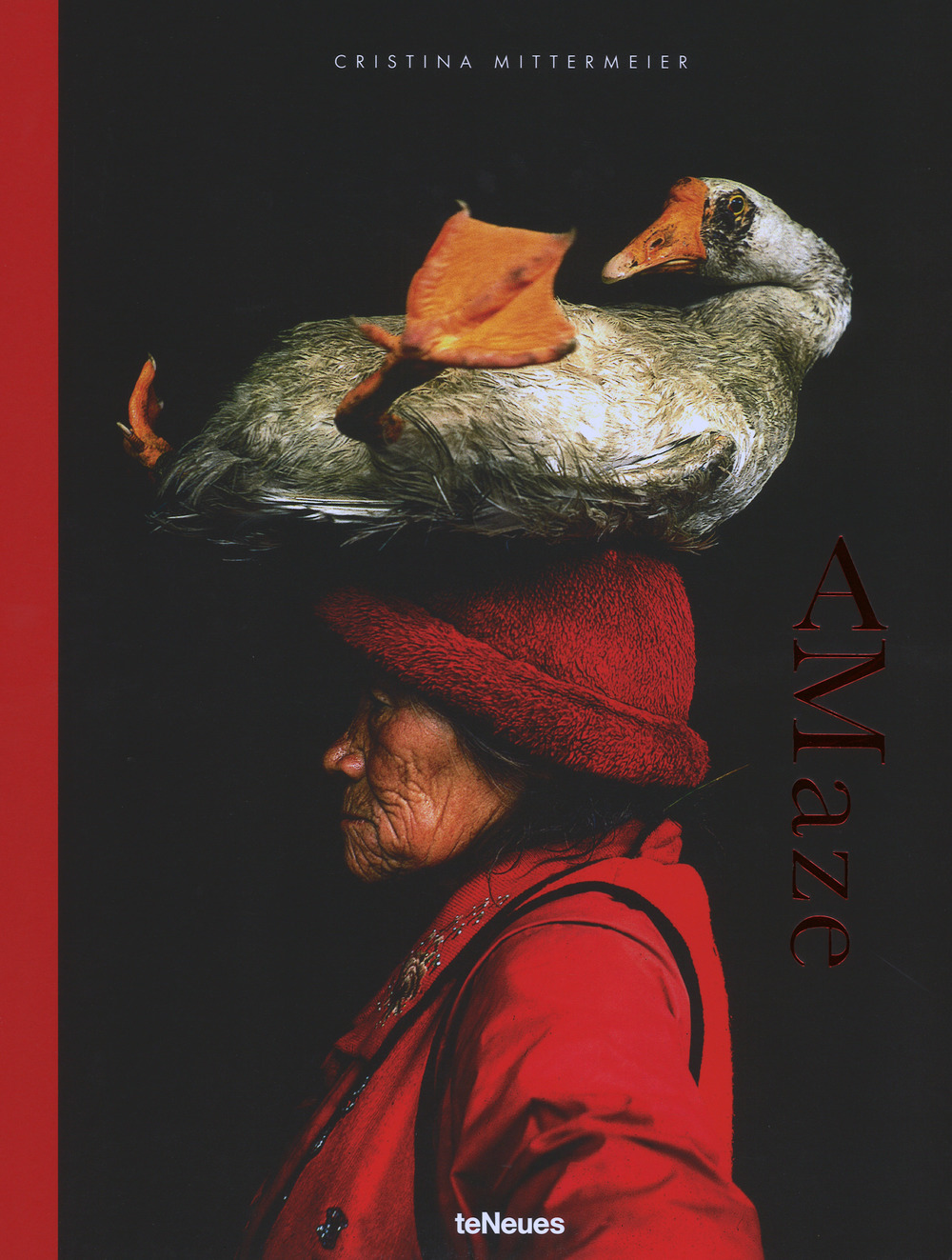 Amaze. Ediz. inglese, tedesca e francese