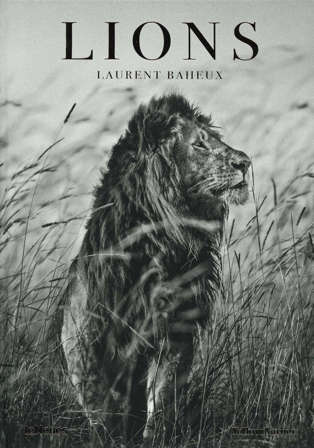 Lions. Ediz. francese, inglese e tedesca