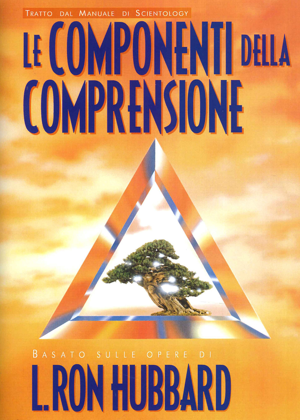 Le componenti della comprensione