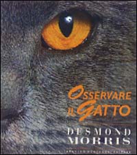 Osservare il gatto