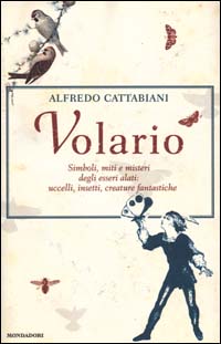 Volario