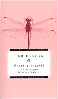 Fiori e insetti. Qualche uccello e un paio di ragni