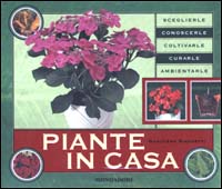 Piante in casa