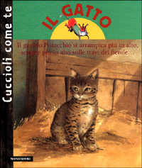 Il gatto