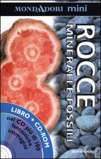 Rocce. Minerali e fossili