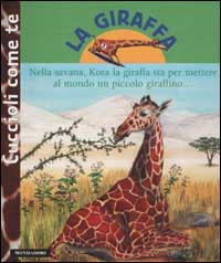 La giraffa