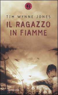 Il ragazzo in fiamme