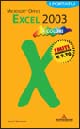 Microsoft Office Excel 2003. I portatili a colori