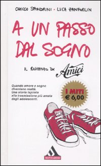 A un passo dal sogno. Il romanzo di «Amici»