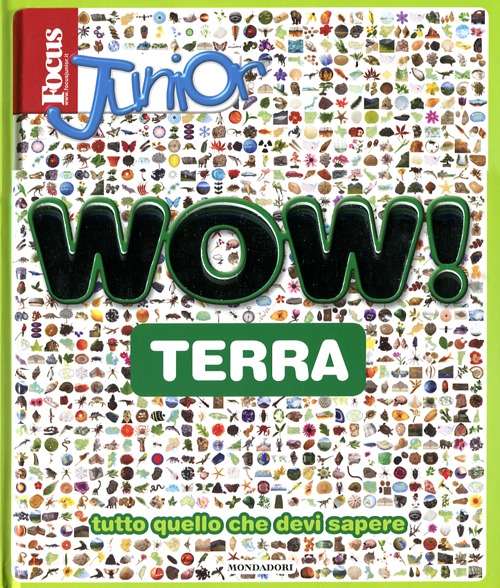 Focus Junior. Wow! Terra