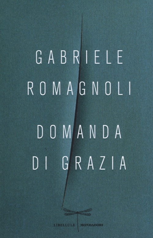 Domanda di grazia