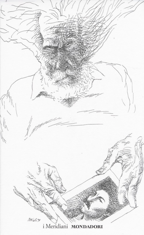 I cantos. Testo inglese a fronte