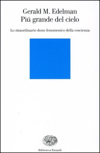Più grande del cielo. Lo straordinario dono fenomenico della coscienza