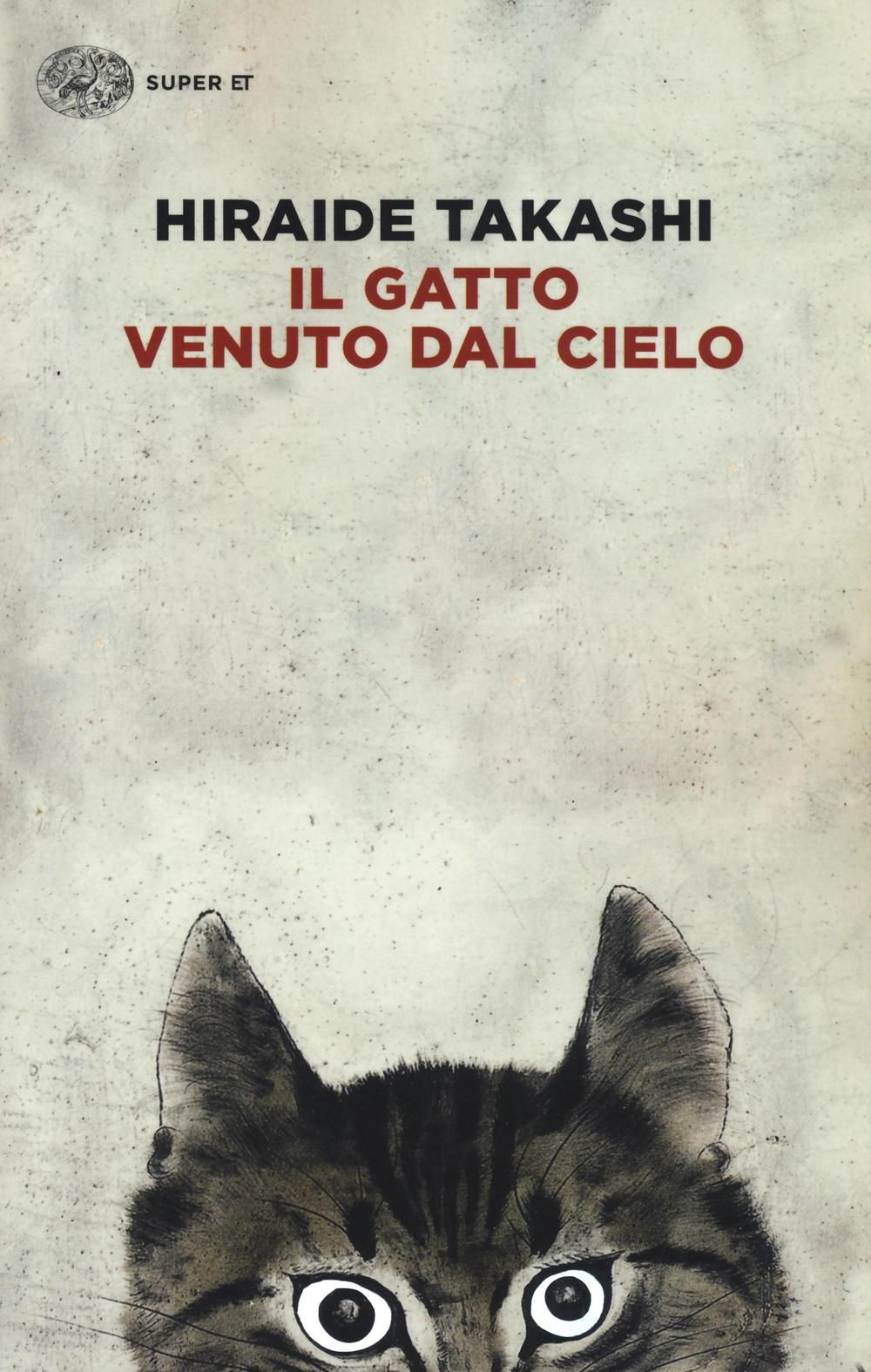 Il gatto venuto dal cielo