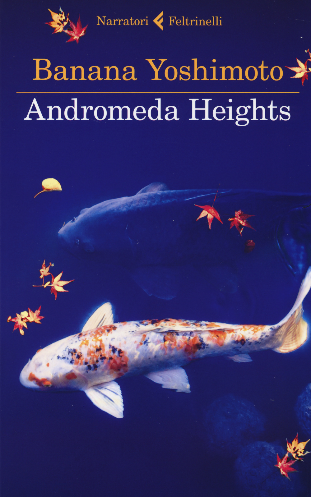 Andromeda Heights. Il Regno I