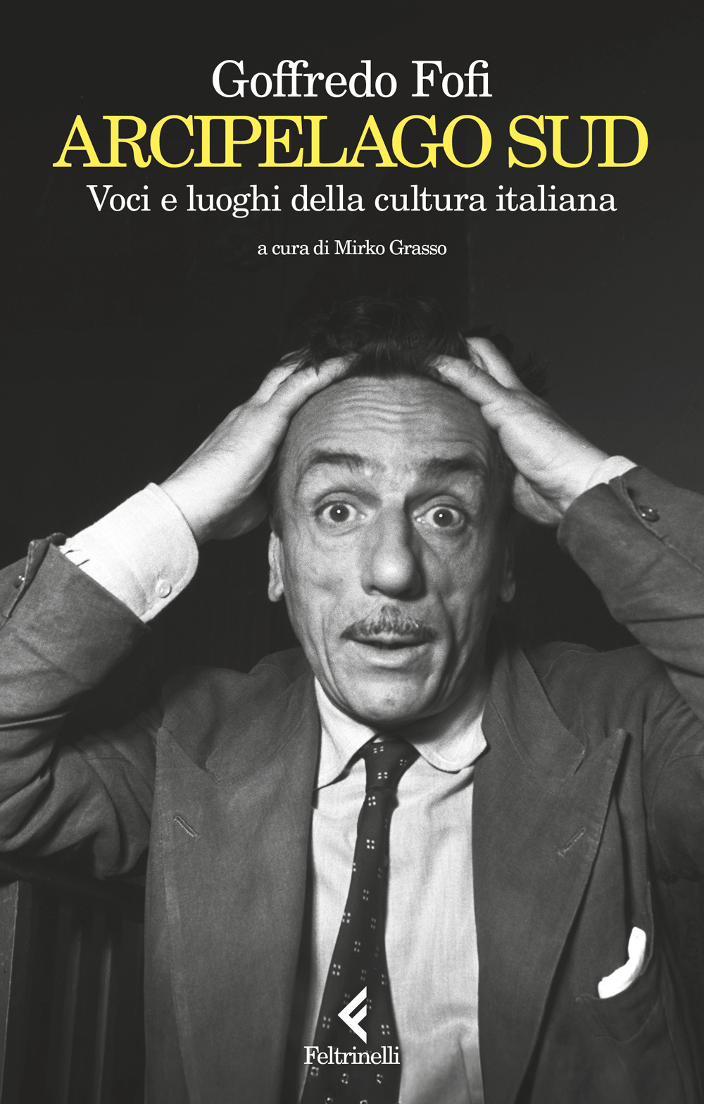 Arcipelago Sud. Voci e luoghi della cultura italiana