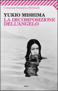 La decomposizione dell'angelo