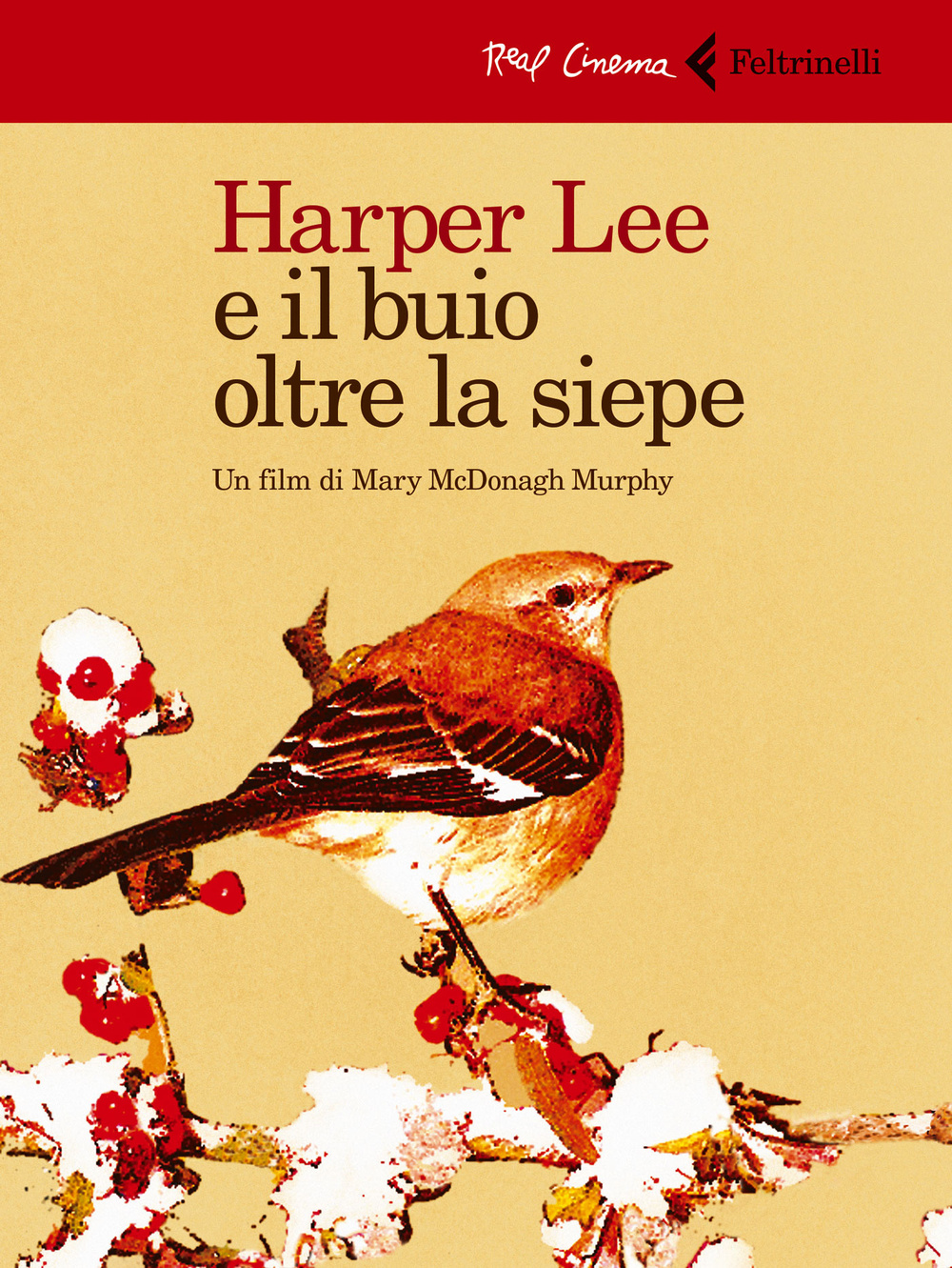 Harper Lee e il buio oltre la siepe. DVD