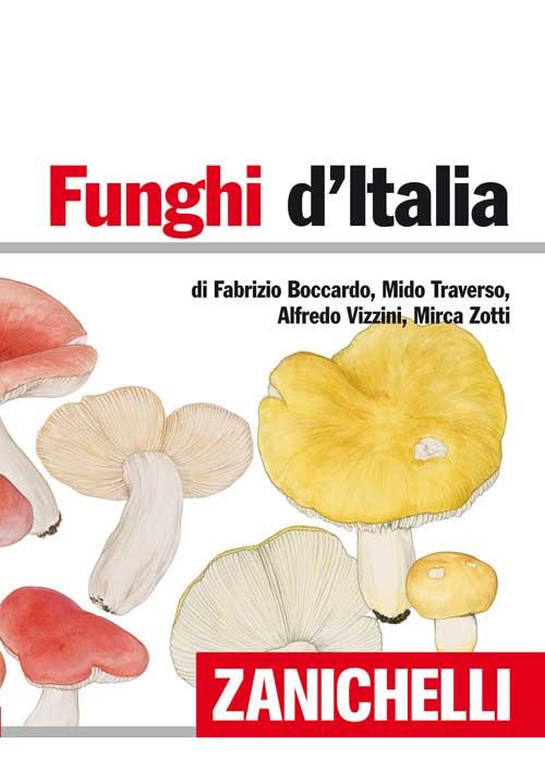 Funghi d'Italia