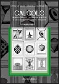 Calcolo. Vol. 1: Algebra lineare, geometria analitica e calcolo differenziale e integrale
